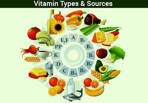 What are vitamins, and how do they work?