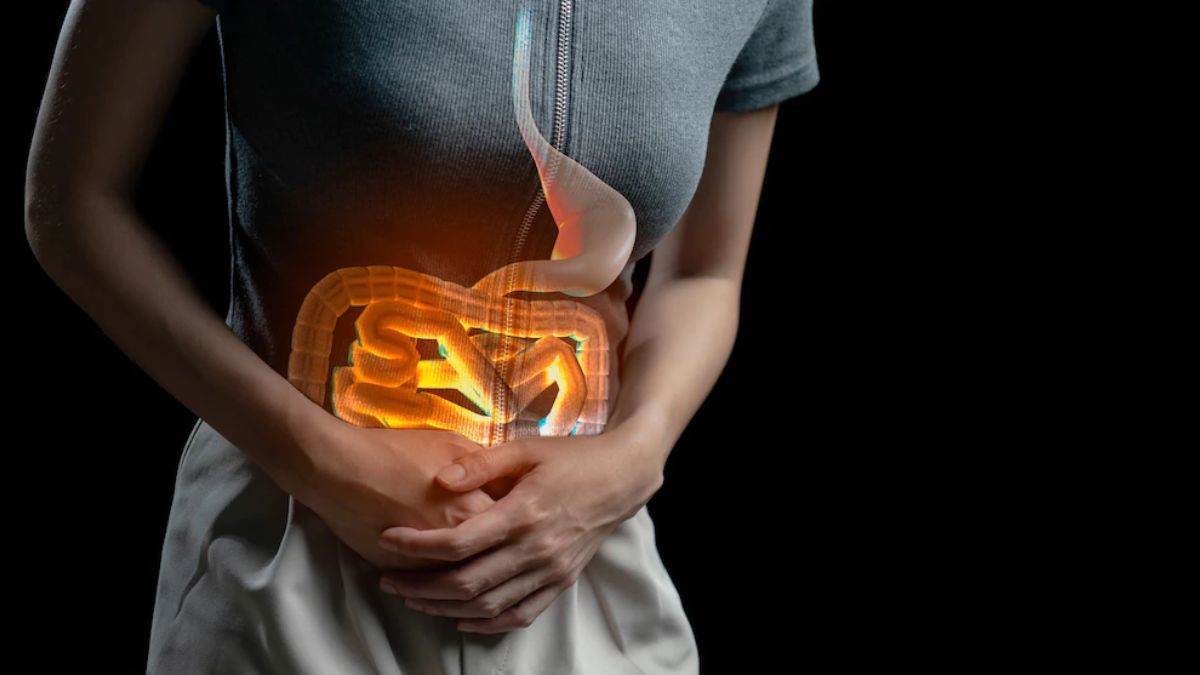 wellhealthorganic.com simple ways to improve digestive system in hindi