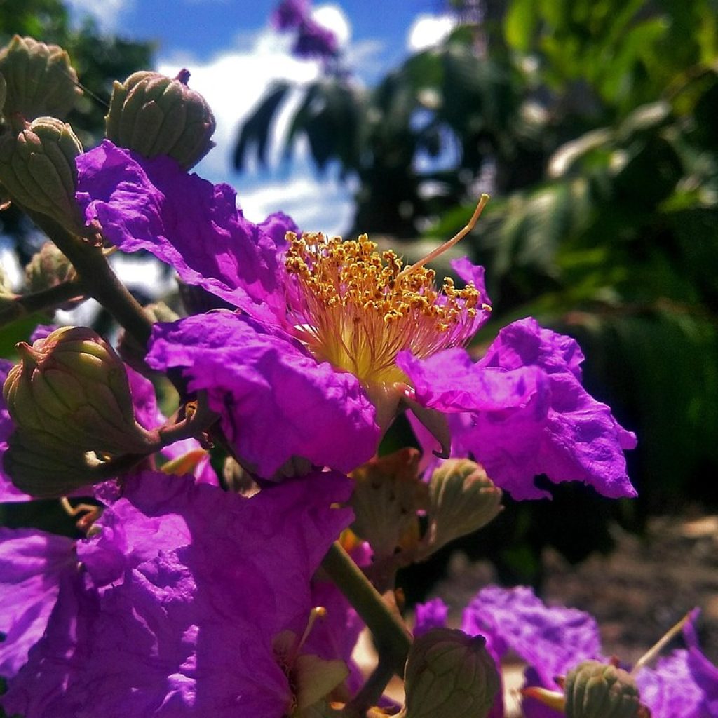 7 Must-Have Gadgets for Content Creators