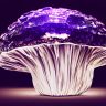 crystal, mushroom, purple mushroom, crystal mushroom, magical mushroom, fantasy, design, mushroom, mushroom, mushroom, mushroom, mushroom