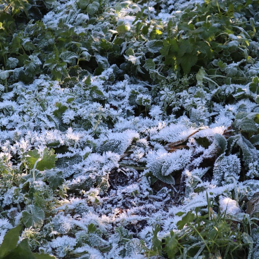 How Quantum Computing Could Revolutionize AI