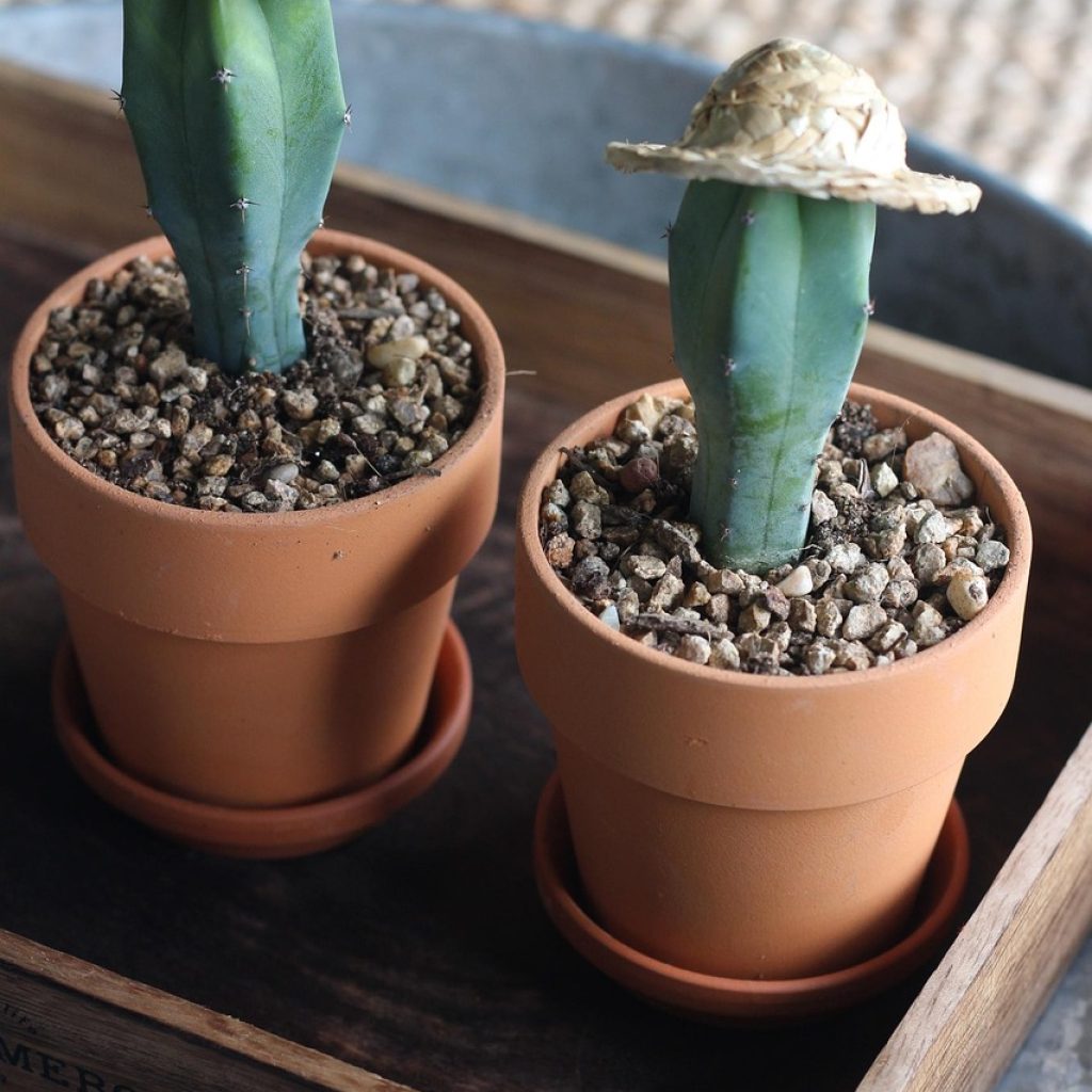 How to Train a Custom GPT for Your Business