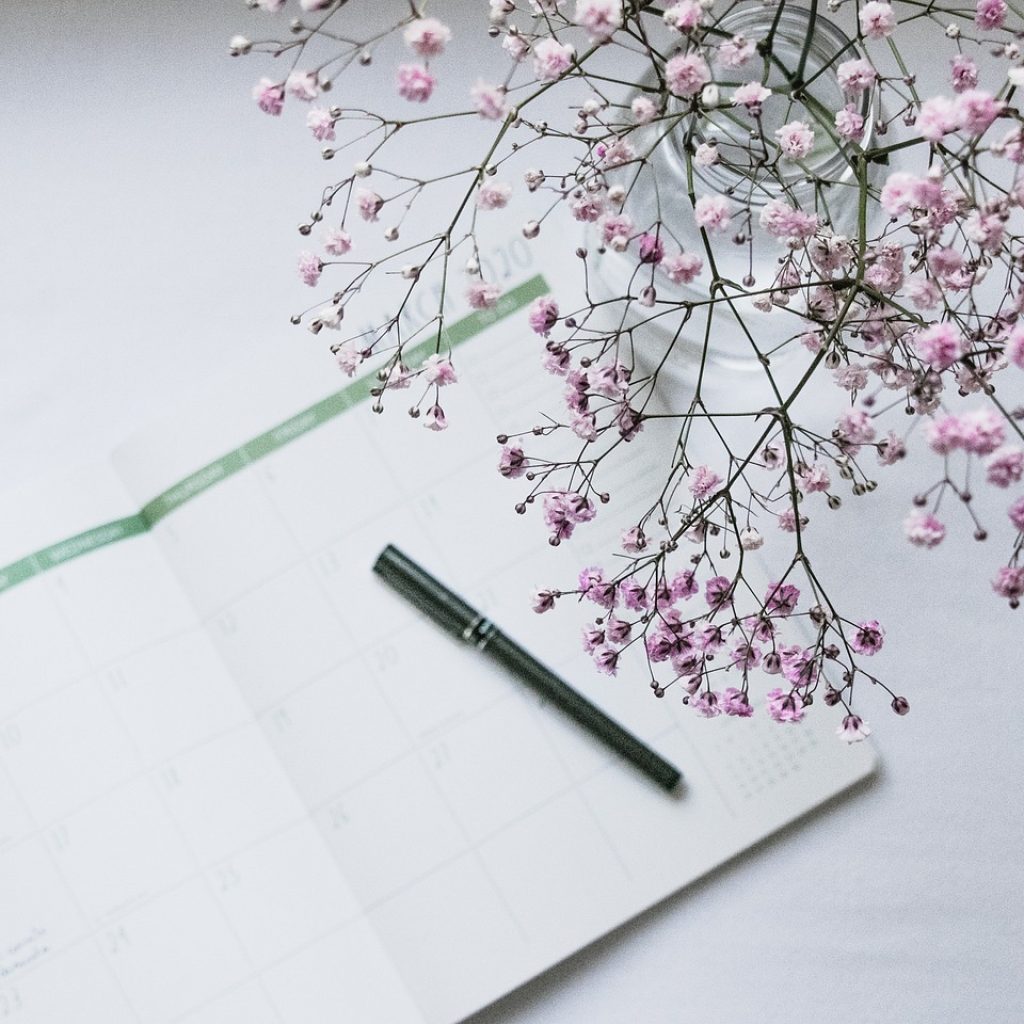 planner, desktop backgrounds, nature, windows wallpaper, march, calendar, schedule, 4k wallpaper 1920x1080, flower wallpaper, organizer, date, flower background, hd wallpaper, laptop wallpaper, wallpaper 4k, month, free wallpaper, free background, depth of field, flowers, 4k wallpaper, beautiful flowers, full hd wallpaper, pen, cool backgrounds, desk, agenda, day, mac wallpaper, entrepreneur, event, wallpaper hd, beautiful wallpaper, blog, background