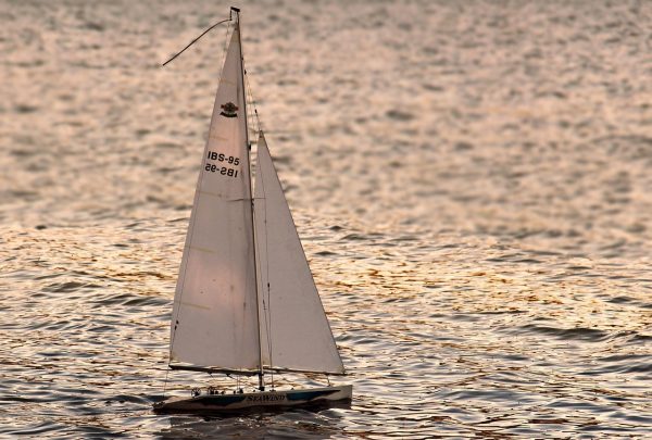 sailboat, sailing yacht, sailing ship, ship, modelling, remotely controlled, model boat, remote controlled sailboat, toy, sailboat, sailboat, sailboat, sailboat, sailboat, ship, ship, ship